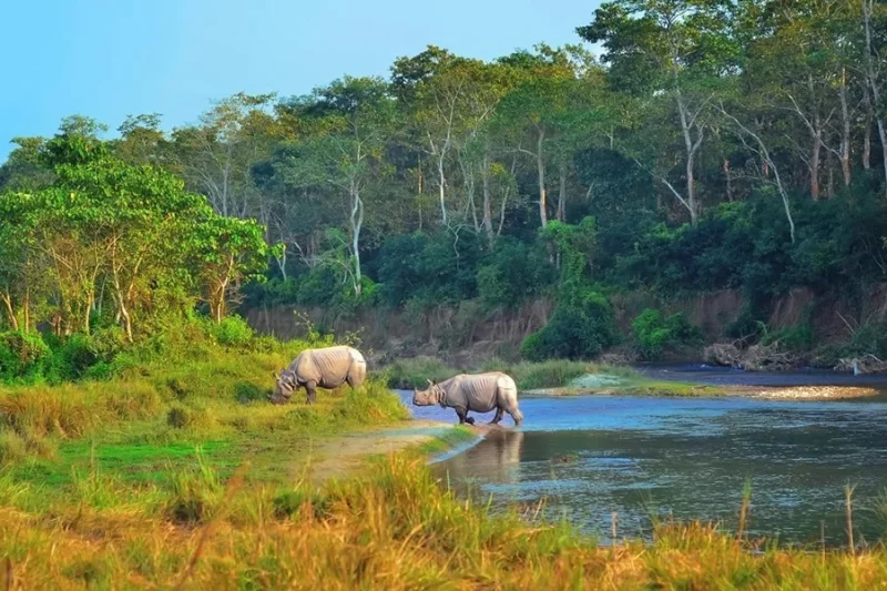Kathmandu, Bhaktapur, Patan And Sauraha Tour